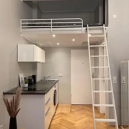 Apt Im Herzen Von Wiesbaden